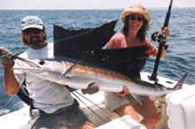 Fort lauderdale Florida Sailfish Charters offshore